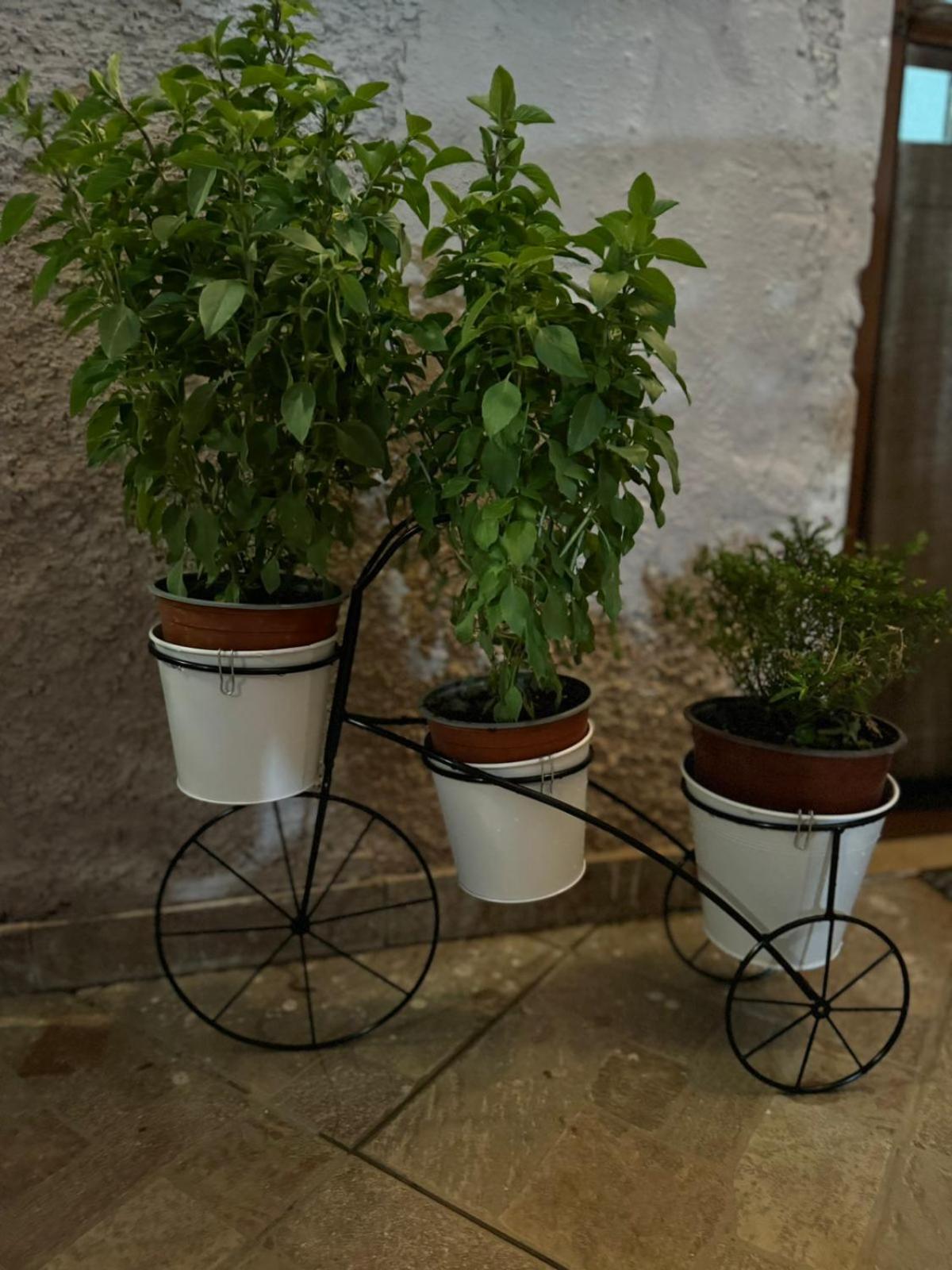 Afroditi'S 2 Eresos  Bagian luar foto