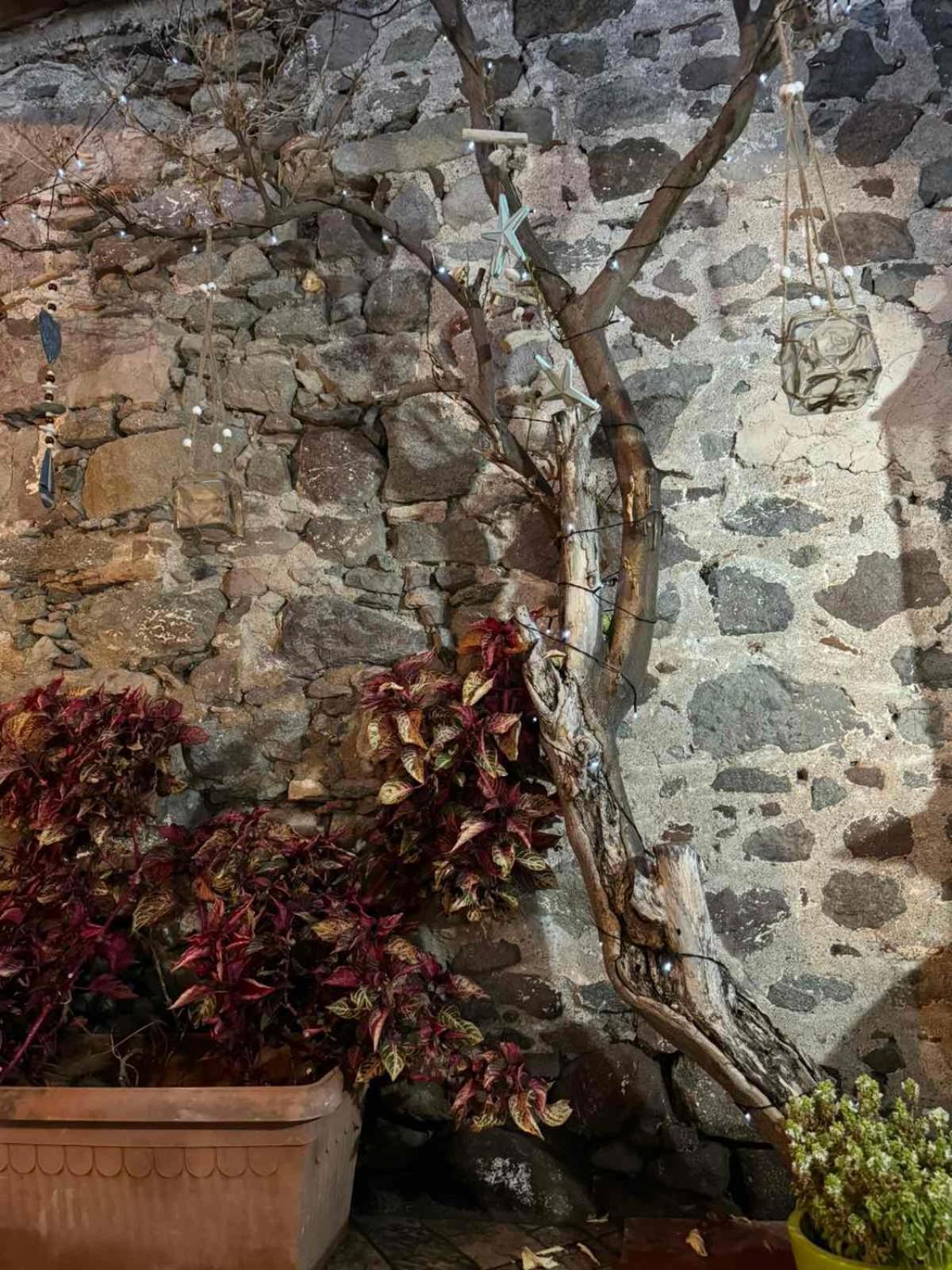 Afroditi'S 2 Eresos  Bagian luar foto